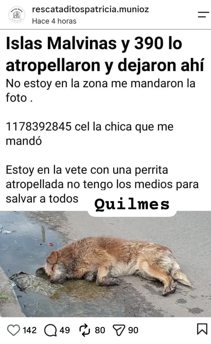 millanneururer's tweet photo. https://t.co/nnOos9tTrp