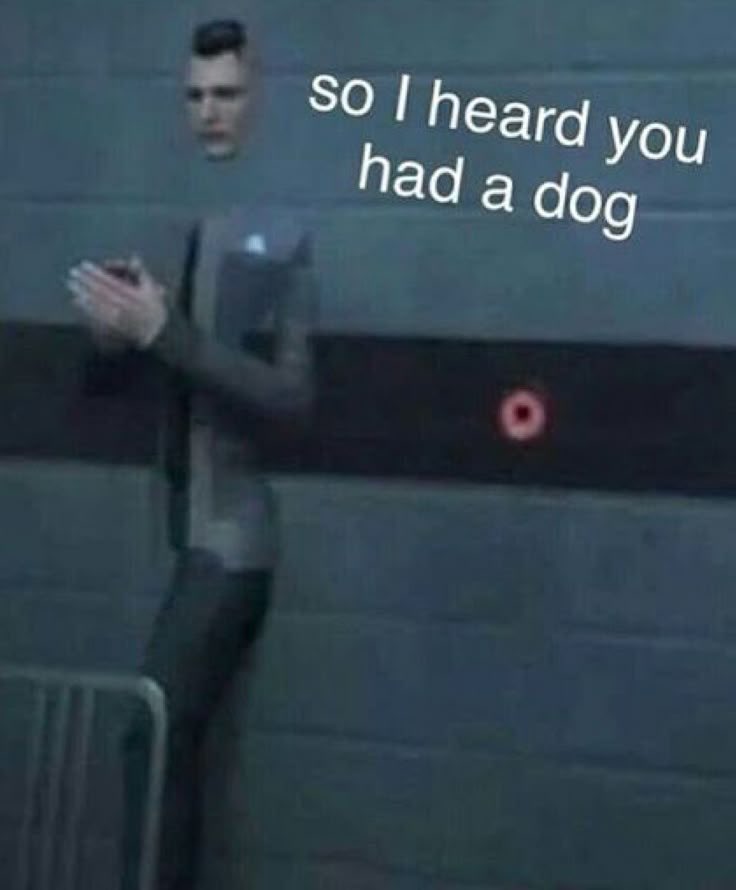 LtHank_Anderson's tweet photo. Don’t mention you have a dog near him..

Please.. 

#NationalDogDay https://t.co/BfvpVHuLVO