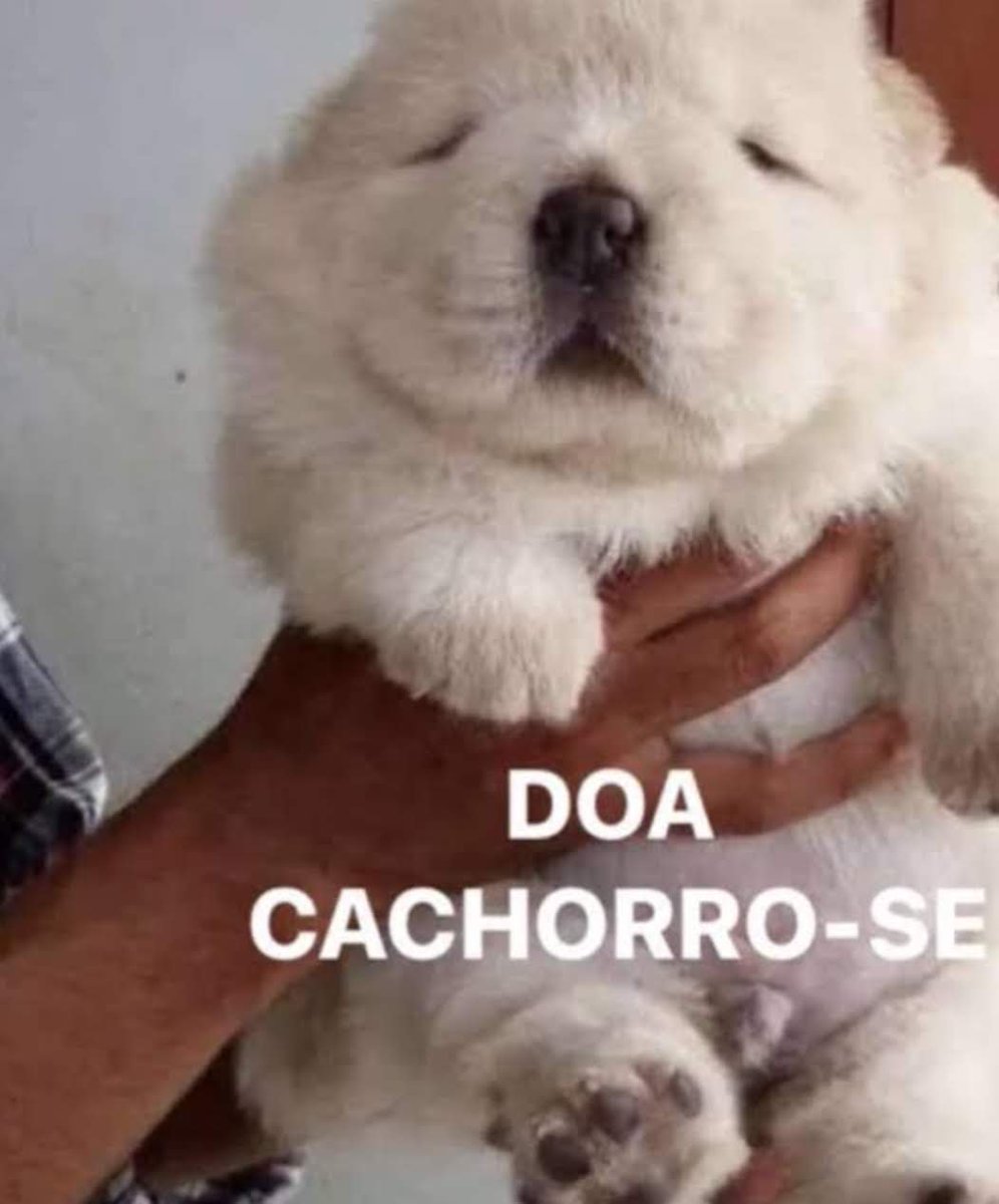 tempIesofsyrinx's tweet photo. vc ja se sentiu assim https://t.co/qQWFJ49dh1