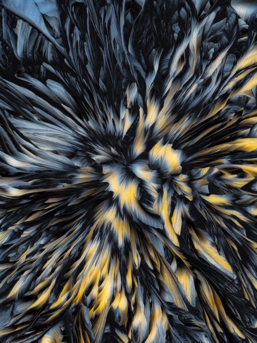 _focuspirate's tweet photo. Interference 1/1/x

Setup | A few shots ➡️ https://t.co/KsavcihHvP