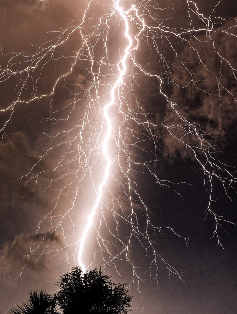 MattDevittWX's tweet photo. HOLY SMOKES!⚡️One of the biggest and most electric lightning strikes I’ve ever seen. Of course, this is Florida. Recently in the Bradenton area. Credit: Jeremy LeBarre @stormhour https://t.co/xni7zyy3TU