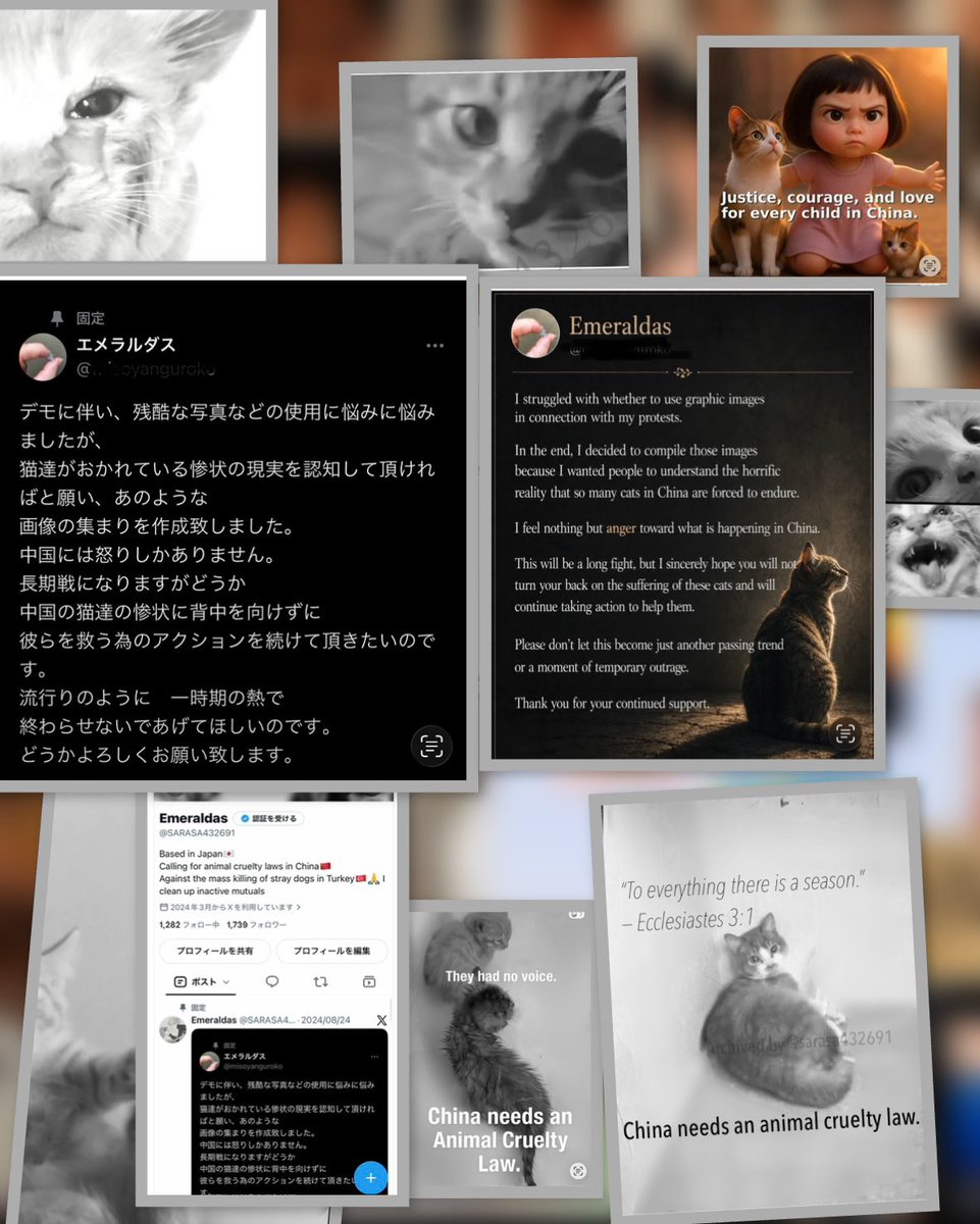 Ree520860716018's tweet photo. #StopCatTortureInChina
#StopAnimalAbusersChina
#ChinaNeedsAnimalLaws
#FelineGuardians https://t.co/JiWJK0FfUm