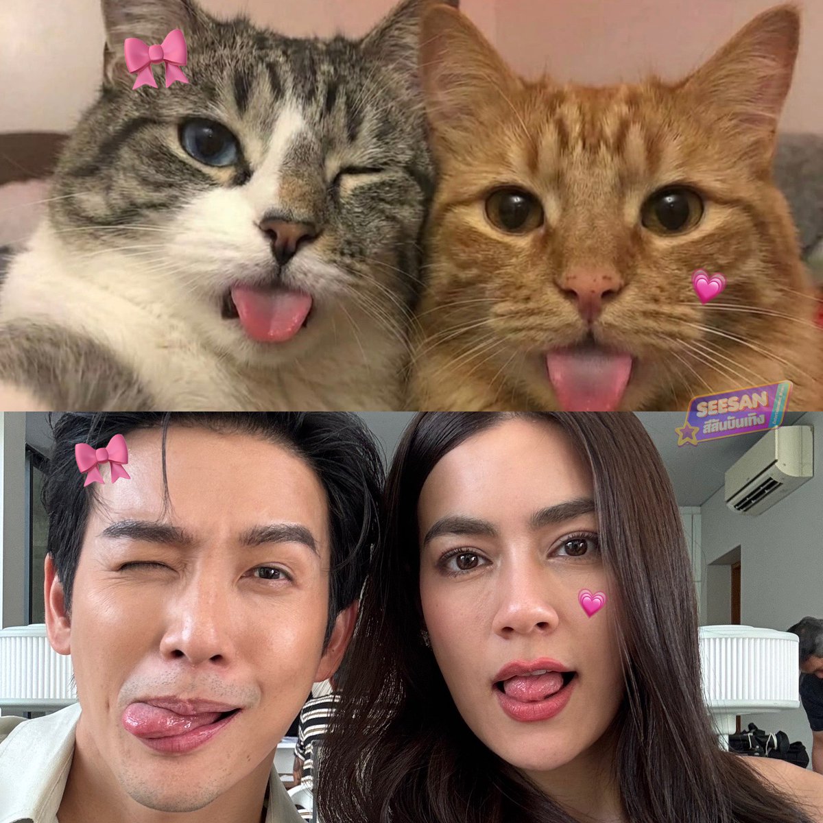 SeesanBunterng's tweet photo. Translator เป็นละครตลกแน่ๆ😹

#Translator
#Kimmy_kimberley
#push_dj https://t.co/WFwbvb09Eg