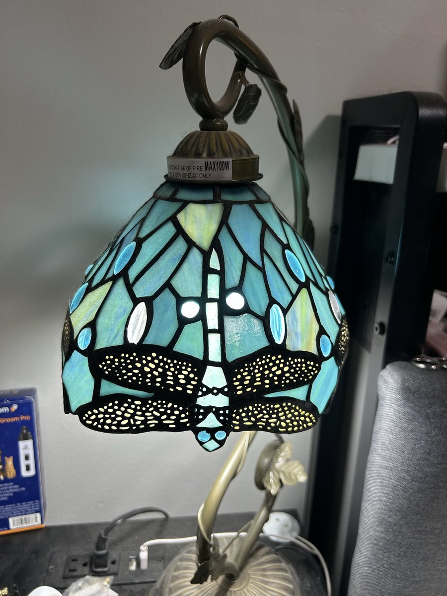 Dragonfly9470's tweet photo. @DianaPOMoon I appreciate you so much for validating my feelings. I also noticed that we share a love of dragonflies. Kindred spirits we are. I'm packing to move so I only have one of my favorites to show. I love your photos. https://t.co/TLOCVN067Z