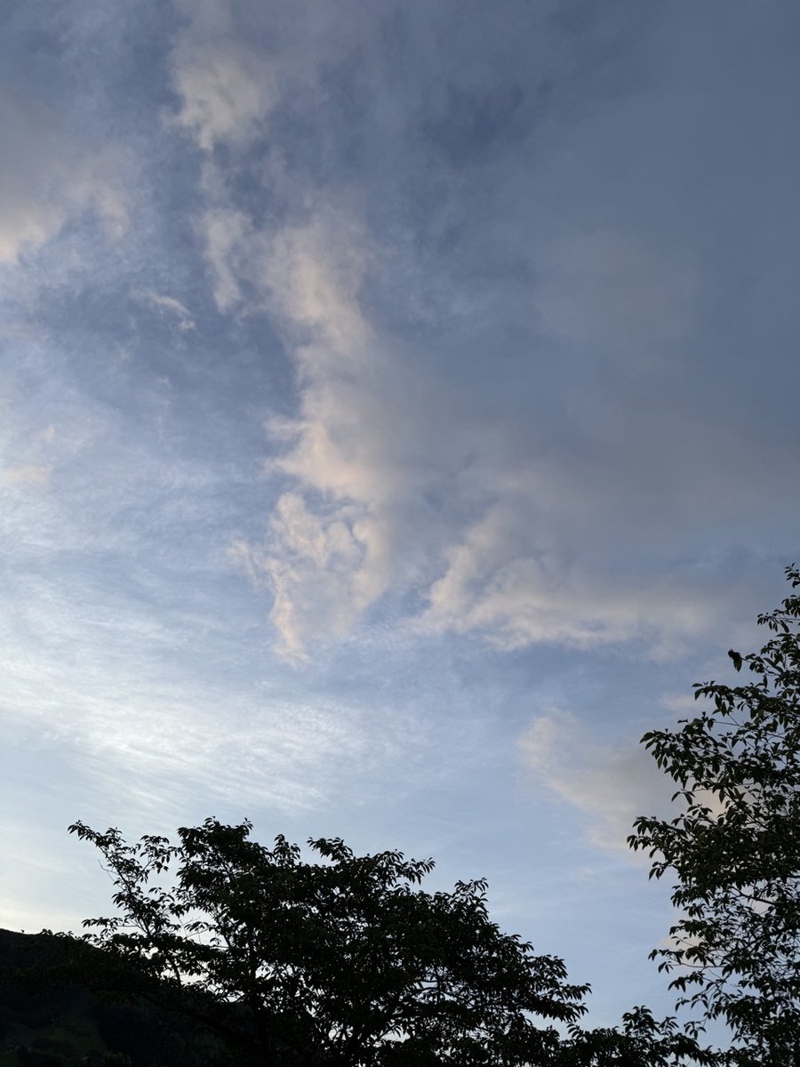 silbaback's tweet photo. 皆様こんにちは🦍

先日観音池公園オートキャンプ場にて
新幕「ソロホームステッドtcブラック」を
初張りしてきました‼️
人気の理由がよく分かる〜
ソロには充分な居住性、メインになりそうです✌️
（毎回言ってる💦）

#シルバーバック
#過去pic
#ソロキャン https://t.co/yH8spi4drK