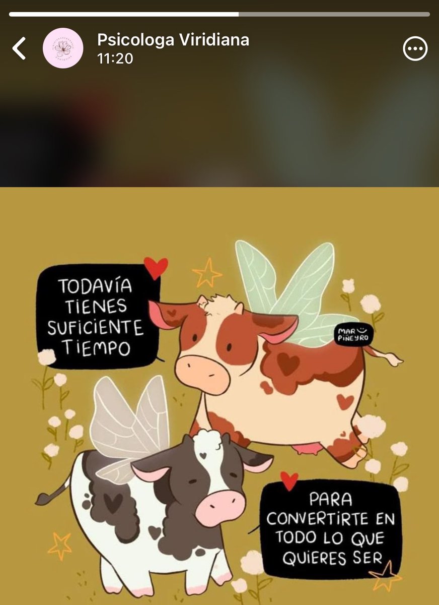 theseventh7song's tweet photo. Lo tomaré como una señal muy clara hacia mí, gracias estados de WhatsApp https://t.co/EnitIyzWdN