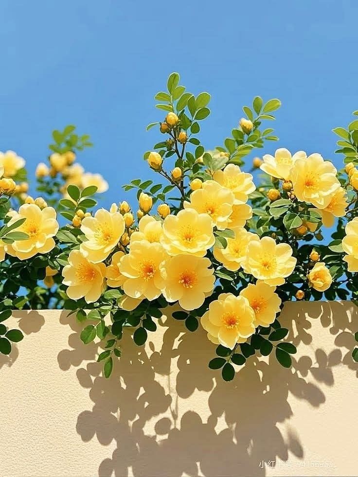 KariMoorefgcr6's tweet photo. HÔM NÀO MẶC ĐẸP THẤY TÂM TRẠNG TỐT LIỀN mấy Mom lấy chồng năm bao tuổi ??? 🤣🤣#mebimsua #xuhuongtiktok #xhhhhhhhhhhhhhhhhhhhhhhh https://t.co/HMDG9WmWBd