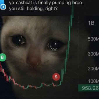 CashCatsLLC's tweet photo. Good morning all! Day 2 with CashCats LLC. People need to realize that opportunities don't repeat often. This is the first token with the correct coin name and ticker. Don't sell at a loss when the narrative/lore is literally coded.

0x466b4f0be1f6e7cf87f6de43b3abd33233ee05cc https://t.co/kaouaYMWoa