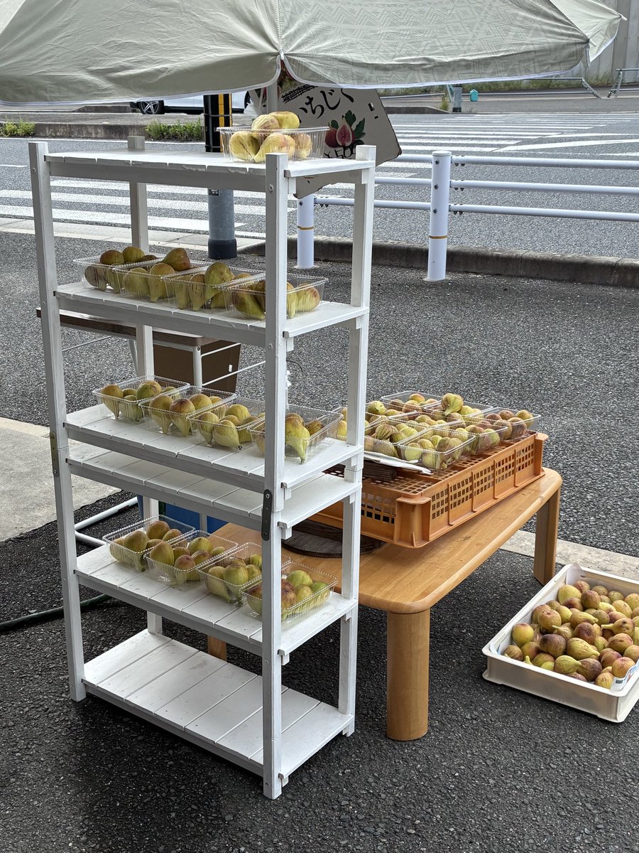 mi87610826's tweet photo. あまりにも多すぎて、
パックに詰めるのを諦めた https://t.co/2rKF2efaRz
