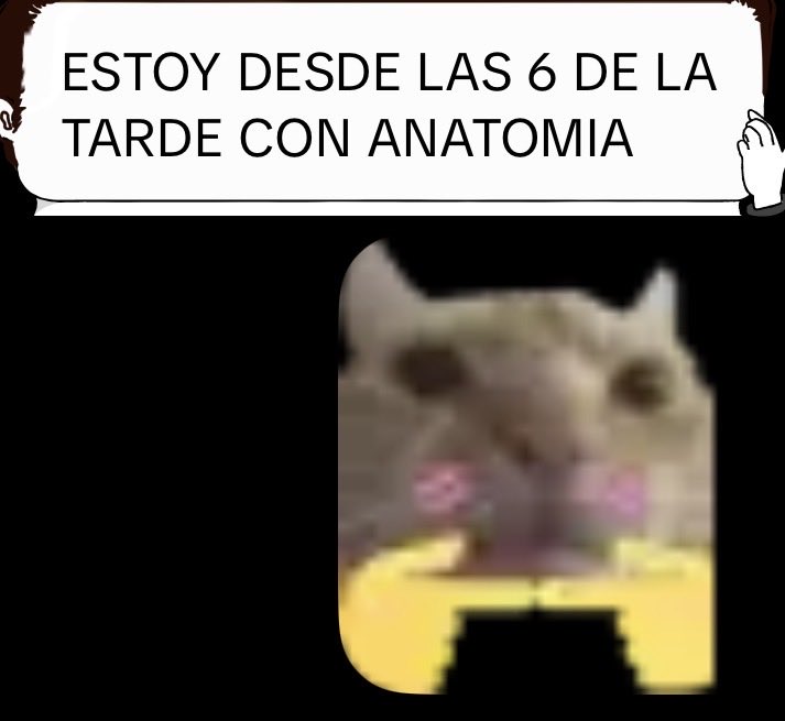 enzoferdz's tweet photo. Y que hace tu novio @neomisaa?
El novio: https://t.co/q2U0OgmIP0
