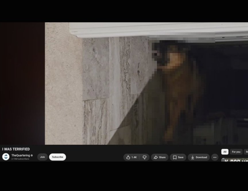 CAMELCASTOff's tweet photo. Hasan Piker shocks his dog. Hopes no one notices because it's a bad look.

TheQuartering uploads a video of his dog having a seizure. Then ask people to buy his coffee products to pay for the vet bill. 

Dude is legitimately an evil person. Disgusting https://t.co/3A9eHs8xH7
