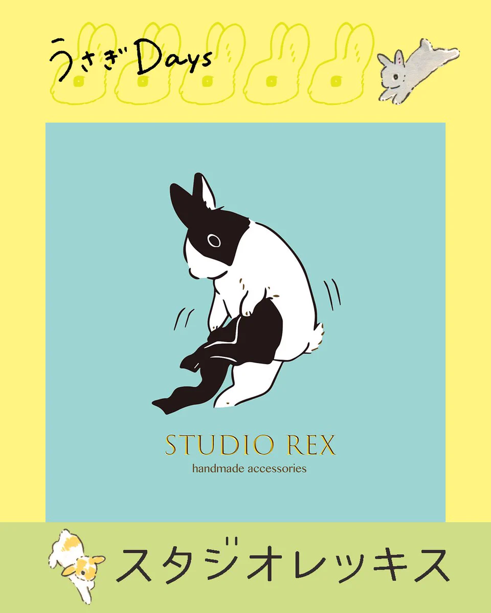 うさぎDays on X: 