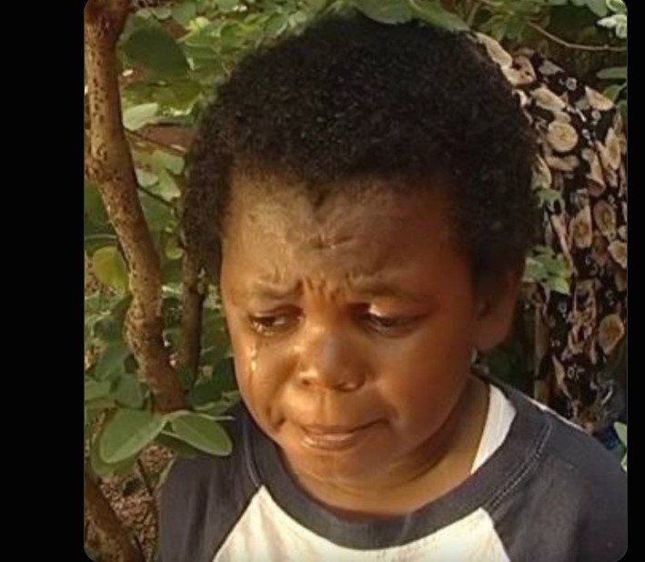 AyotheAi's tweet photo. POV:  Medical students vs  Engineering students vs Law students arguing which course is more relevant 

You that studied L.I.S / Adult education: https://t.co/6J05aWJuwU