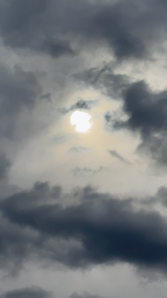 Gorosan603's tweet photo. 激しかった朝の雨が嘘みたいにやんで、いまはどんより曇り空☁️
雨上がり一瞬だけパッと太陽が見えたけど、また隠れちゃった。
コロコロ変わるお天気だけど、とりあえず傘はいらなくなってひと安心!
おまけも一つ
#今日の空 #曇り空 #雨上がり #イマソラ #空がある風景
#sky #cloudysky #afterrain #skyphotography #cloudyday