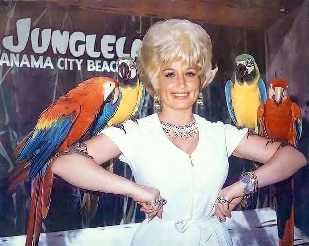 _WilliamWarren_'s tweet photo. This photo of Dolly Parton was taken at Jungle Land on Panama City Beach around 1970 when she was a costar on the Porter Wagoner Show. She would go on to become a major influence in popular music. She also became a very successful business woman with impact nationally and locally https://t.co/xbLRMFO8YJ