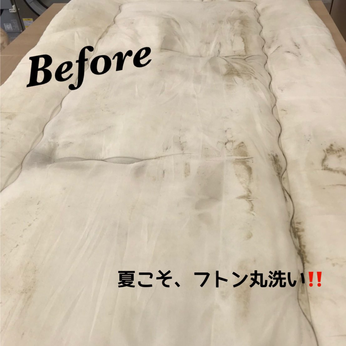 FutonTokushige's tweet photo. 1枚目は洗濯脱水後！中綿(なかわた)の中に潜む汚れです💦

2枚目は仕上げまでバッチリの写真✨

汗をかく季節に、スッキリ丸洗いしませんか🍀 https://t.co/3Wq79AZ2HM