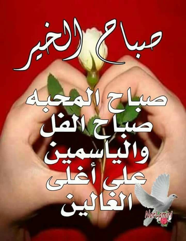 ma_r21's tweet photo. الصور اللي يرسلهن خالي كل صباح في جروب العائله https://t.co/t41Tc7qBH6