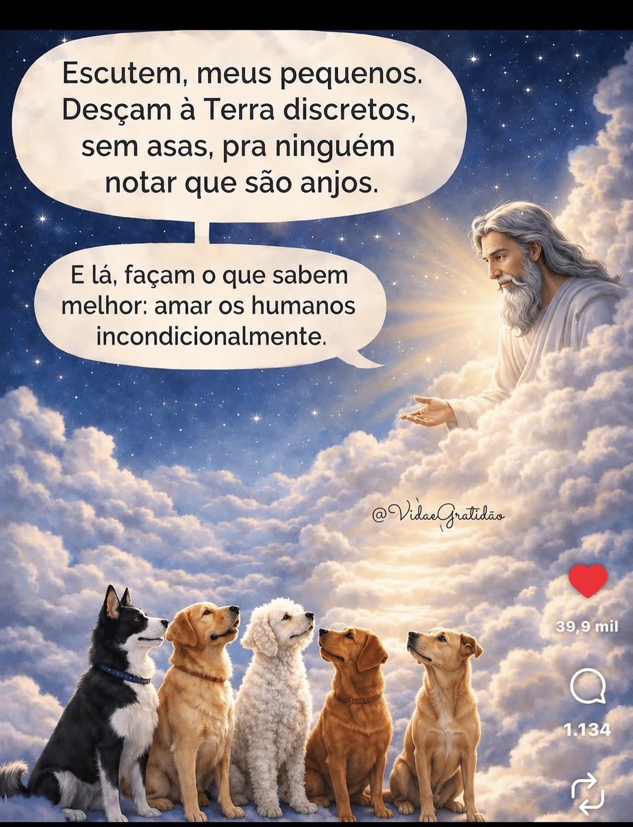 ClaudioFarias70's tweet photo. https://t.co/PeWOzI9f8P