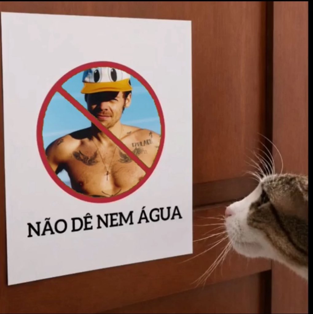 zbstore's tweet photo. meu pronunciamento https://t.co/x4evHot2mm