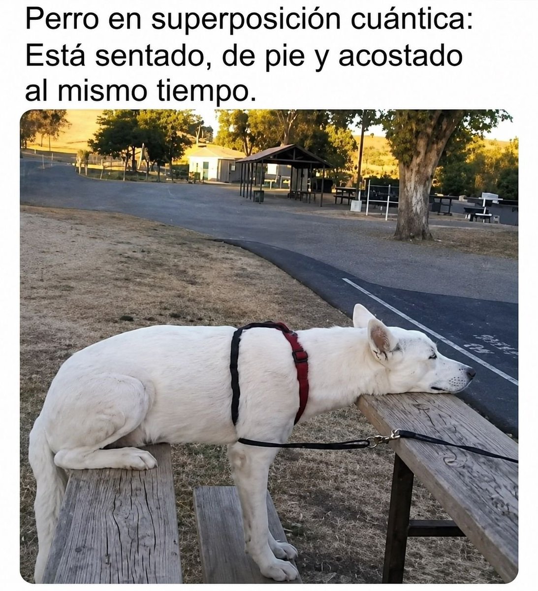 EnsedeCiencia's tweet photo. 😆 https://t.co/SDluoSIpPt