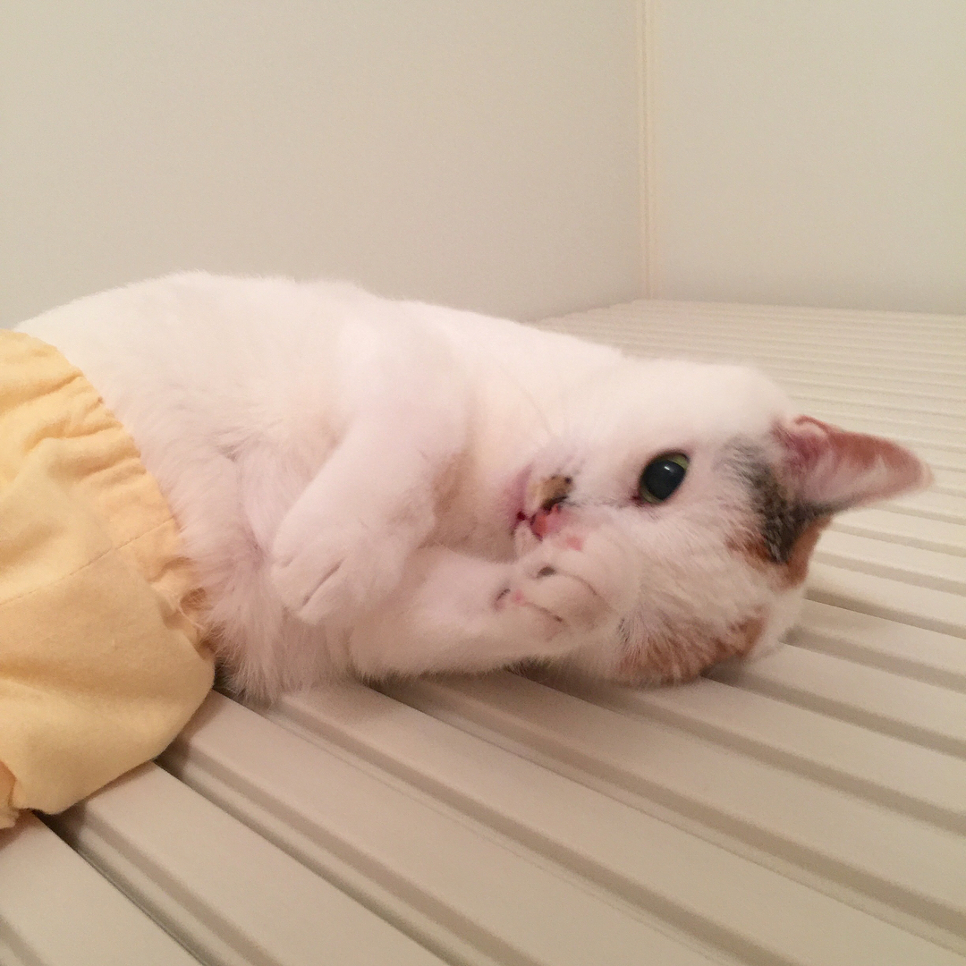 HisakoSwee0l's tweet photo. 処理落ちしそうな午後は、あえて何も考えない時間をメモリに確保するのも悪くないね https://t.co/fU6ifDF6NZ