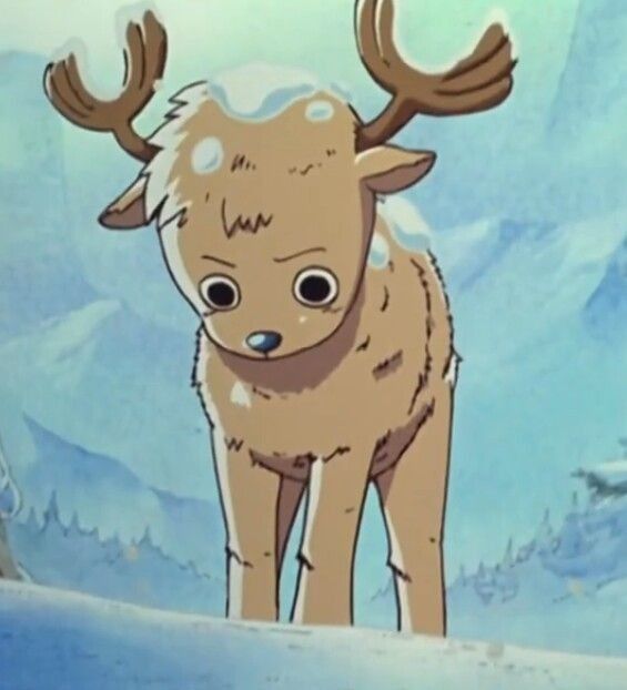 whirlysanji's tweet photo. this being literally chopper 😭 https://t.co/2vtZyKYHbf