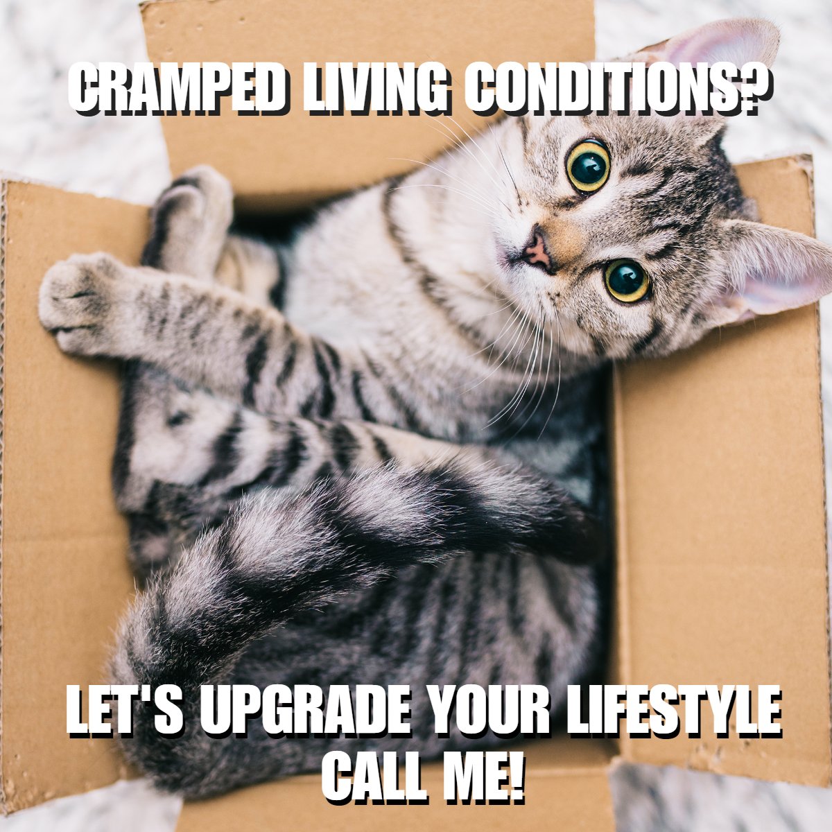 ROG_All_Stars's tweet photo. Are you finding that your current space is starting to feel a bit cramped for your needs? Are you ready to upgrade your living space? 

It's time for a change!

#LivingSpace #RealEstate https://t.co/vn5q9SA76b