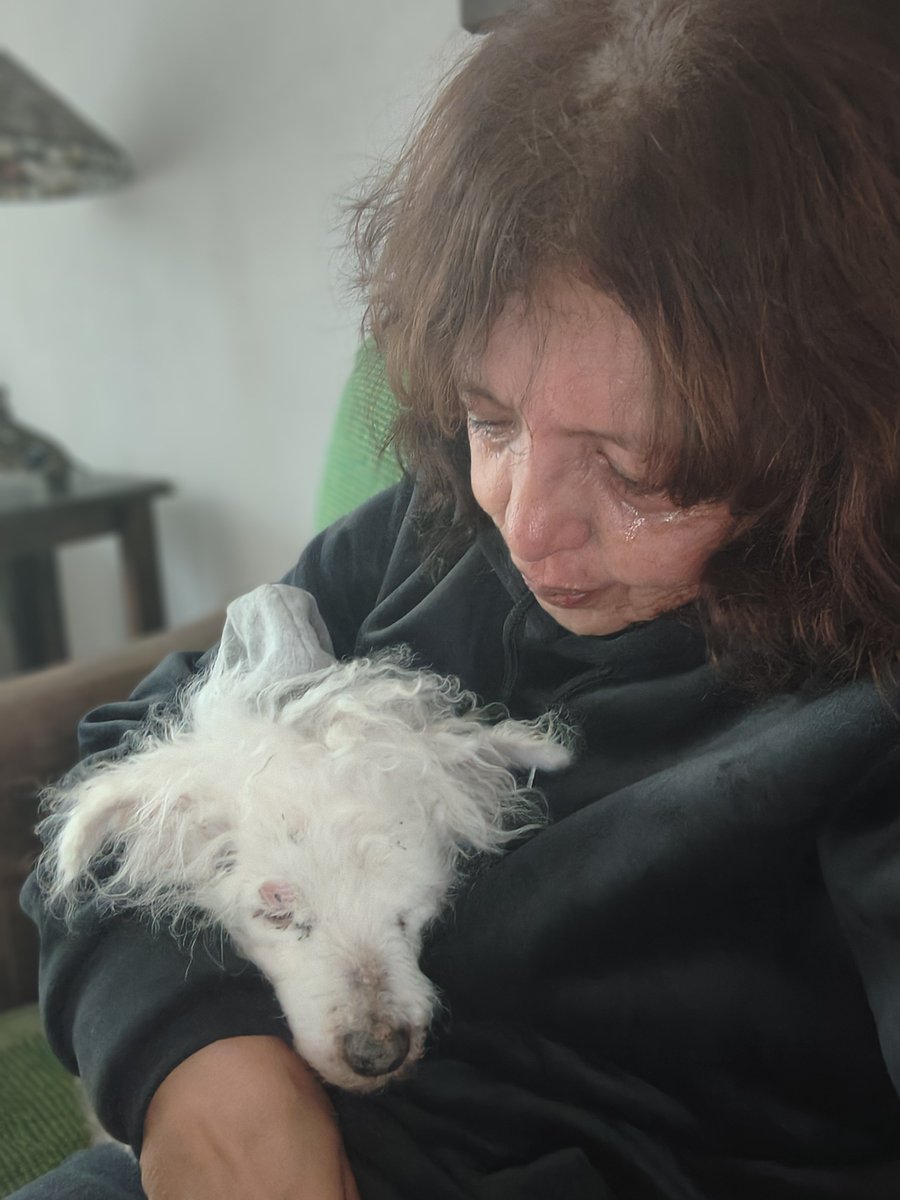 VioletaCassir's tweet photo. Amorcito, nenito de  16 años . Vuela alto cielito. Gracias por todo. Te vamos a extrañar mucho. https://t.co/H0c309xgYW