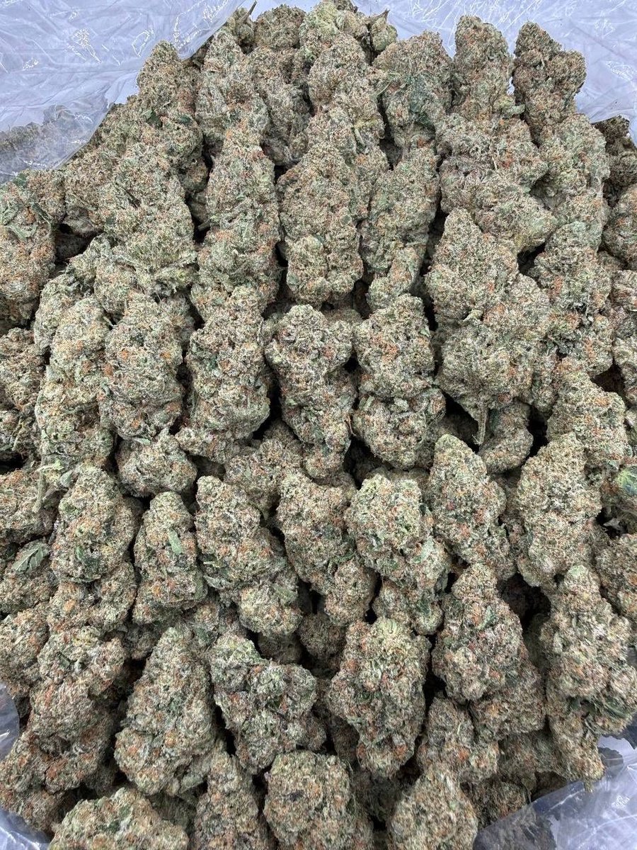 TrapStarrPec's tweet photo. Astro Candy

🥣1lb+ 1000
🥣5lb+ 950
🥣10lb+ 900
🥣20lb+ 850
LA In Town 800 https://t.co/96BOe9FFWX