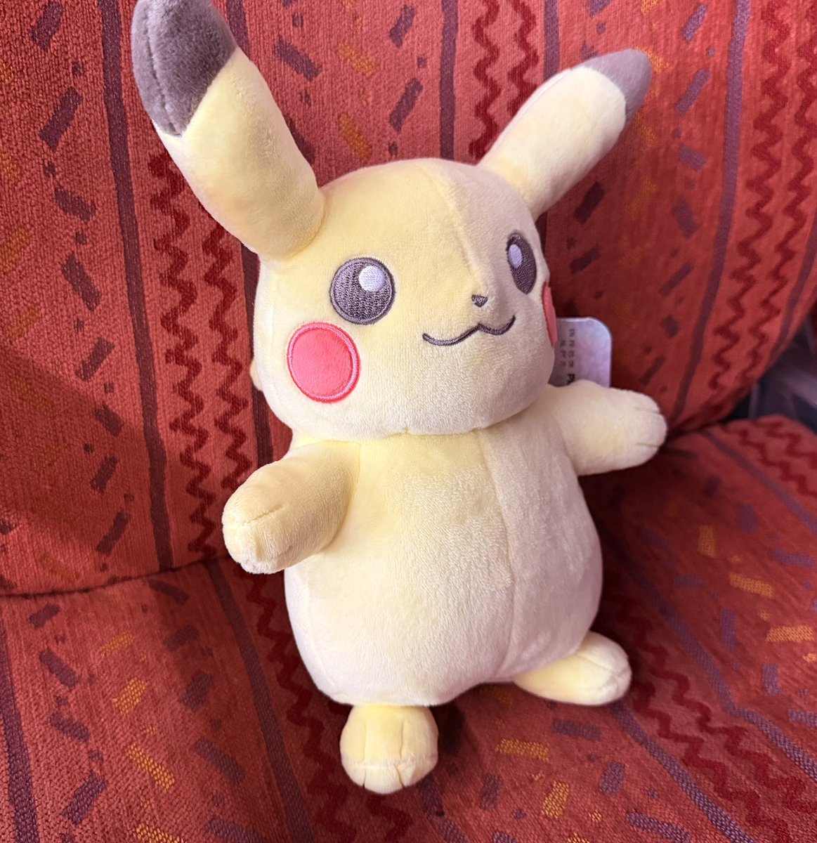 inkstarLum's tweet photo. I caught a Pikachu !! https://t.co/Glz91Cn5et