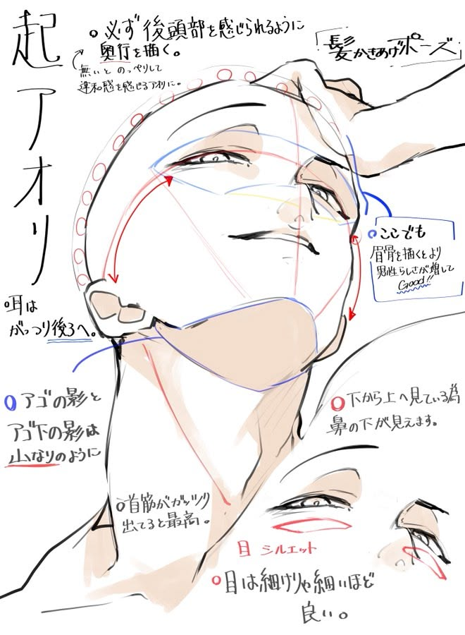 tryanglefor's tweet photo. How to Draw Dynamic Head Poses From Above https://t.co/AWKFxt3Tpn
