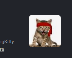 zuck_devs's tweet photo. so on the back of a shirt on Tesla's site... they have a "roaring kitty" reference? 

they literally have the dog with the same headband as the infamous roaring kitty from gamestop

why else would they do that? 

very interesting! 

https://t.co/PScPN637U3 https://t.co/8Bpjf210iQ