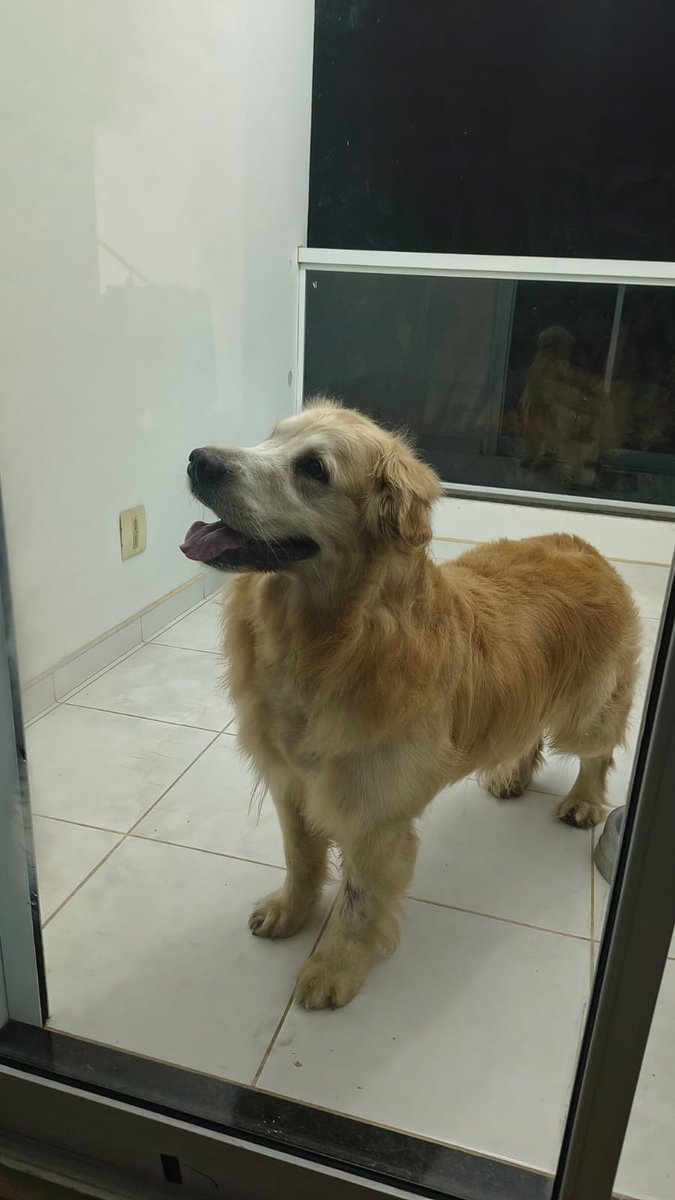 RenePerfume's tweet photo. não consigo acreditar e mesmo assim estou apaixonada https://t.co/BCHkeia4vb