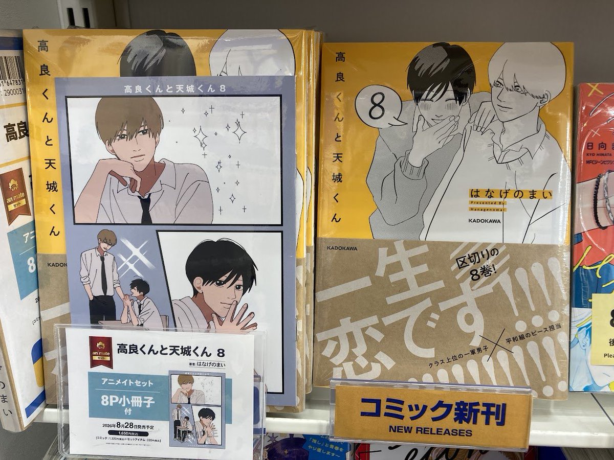 TL小説まとめ売り85冊セット TL漫画まとめ売り32冊 セット レディース