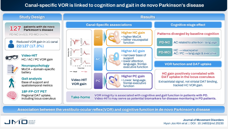 JMD_2008's tweet photo. Associations Between the Vestibulo-Ocular Reflex and Cognitive Function in de novo Parkinson’s Disease https://t.co/CE07xaNPds https://t.co/Jy2YcMLQ1u