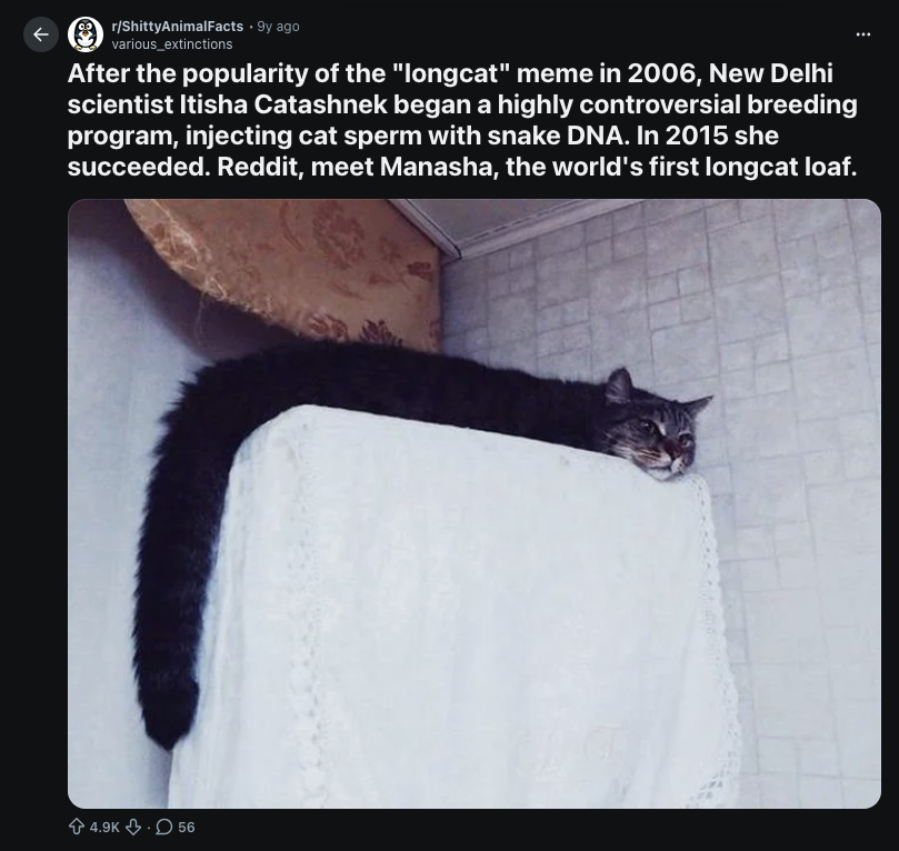 lxpump's tweet photo. Longcat lore is actually pretty deep
The Og $longcat is criminally undervalued

ca:2fttGFzxgct55W3uZXxoYKVEdckfP5TL3uFtkCTR6ywi

9 yrs ago:
https://t.co/y7RrW5dQpe https://t.co/7SS8r3f44j