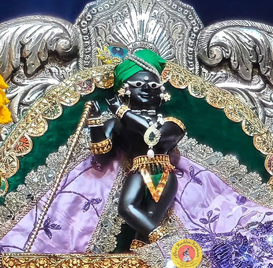 Shekhawat_089's tweet photo. मंगला दर्शन श्री राधारमण लाल जू ❤️ https://t.co/53b6qKxIjN