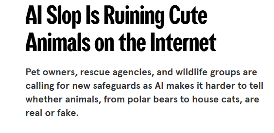 zuck_devs's tweet photo. New Wired article "AI Slop Is Ruining Cute Animals on the Internet"

Need a cute animal runner to combat all the AI slop

https://t.co/8b8osNoeA9 https://t.co/V9lCan5h63