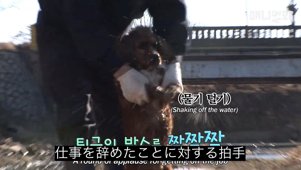 maison_sunafox's tweet photo. 仕事辞めました https://t.co/HYFlY2vGEO