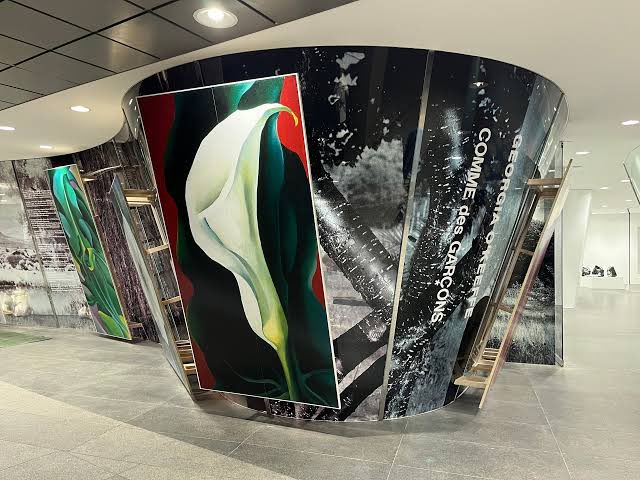 nezimaki49081's tweet photo. 草間彌生の自伝『無限の網』では、若い頃に、長野松本の古本屋でジョージア・オキーフの作品集に出会ったことで人生が動いたことが記されている。
草間彌生は、すぐにオキーフに自分の作品と手紙を送っているが、驚くことにオキーフはこの手紙に返事をし、そこで草間彌生は渡米することを決めることになる。
この自伝めちゃくちゃ面白いのでまた読み直そう。
なお、最近では、コムデギャルソンもオキーフの作品を用いている。
