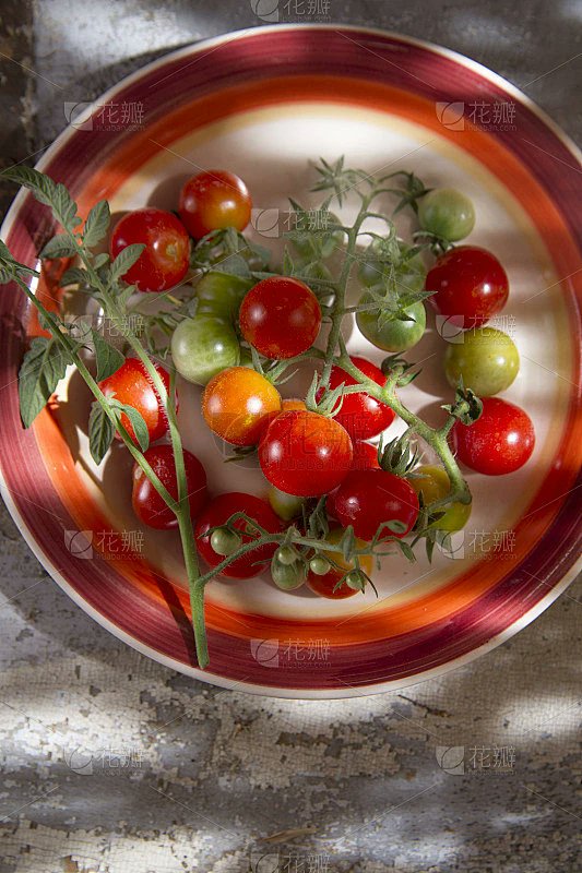 guada_18's tweet photo. Just tried the new organic cherry tomatoes from local farm  Super juicy, burst with natural sweetness, no bitter aftertaste at all��perfect for salads! Will definitely restock this week! https://t.co/7JUjeXGfiS