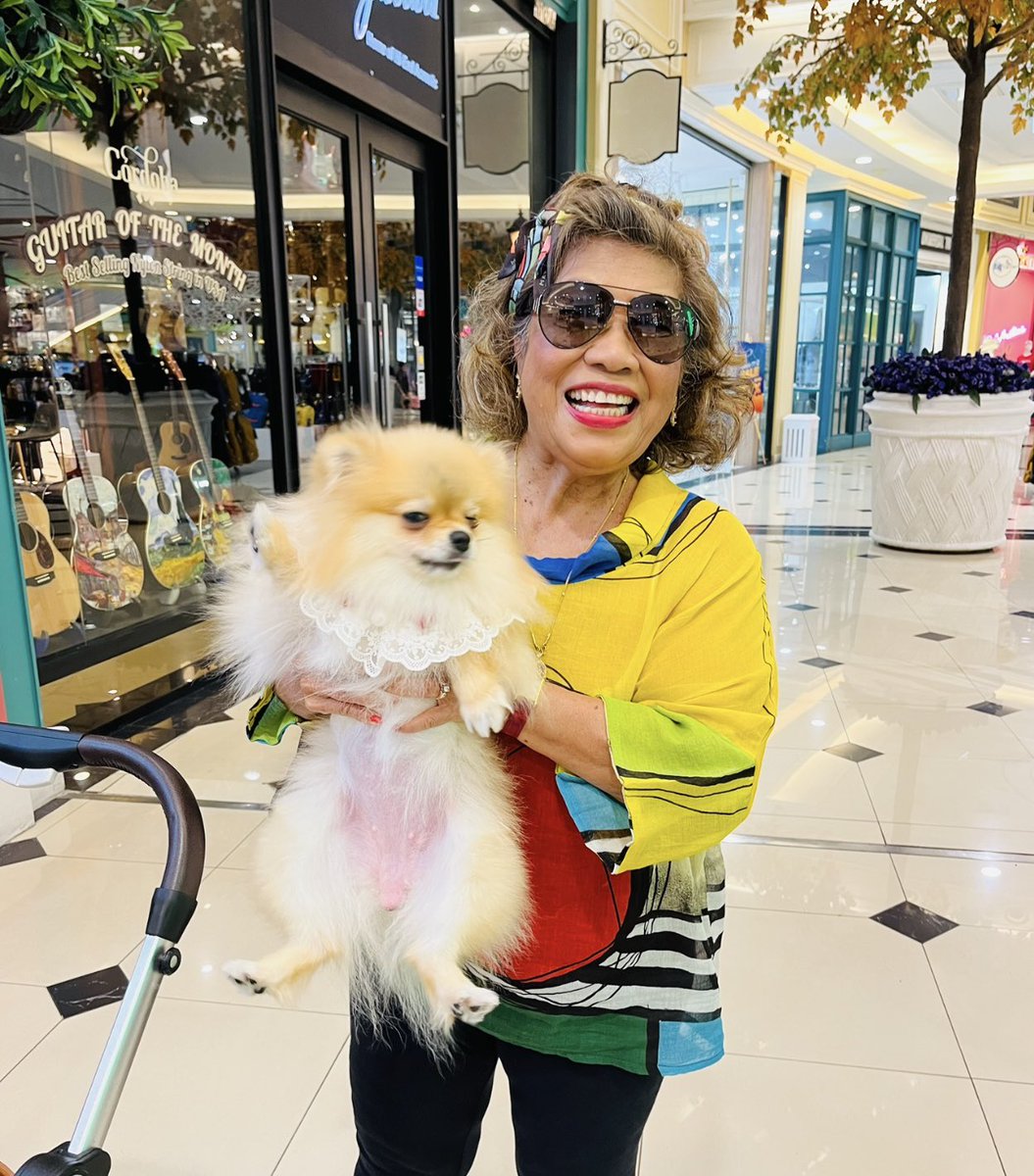 chernorris's tweet photo. @christinedemar Beautiful Christine ! Happy #RosesWednesday ❤️🌹Women's Equality Day and international Dog Day! https://t.co/ug9dUOmRPN
