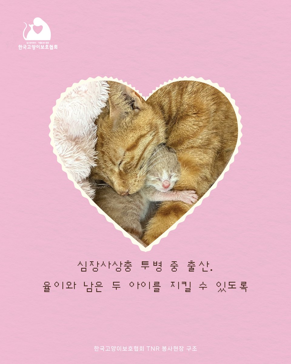 kopc2005's tweet photo. 묵묵히 살아낸 결과가 아이들을 잃은 슬픔으로 끝나지 않기를, 이제 더 이상의 아픔 없이 건강하게 살아갈 수 있기를 간절히 바랍니다. https://t.co/yQU53dExbA https://t.co/FjDrcOlYbI