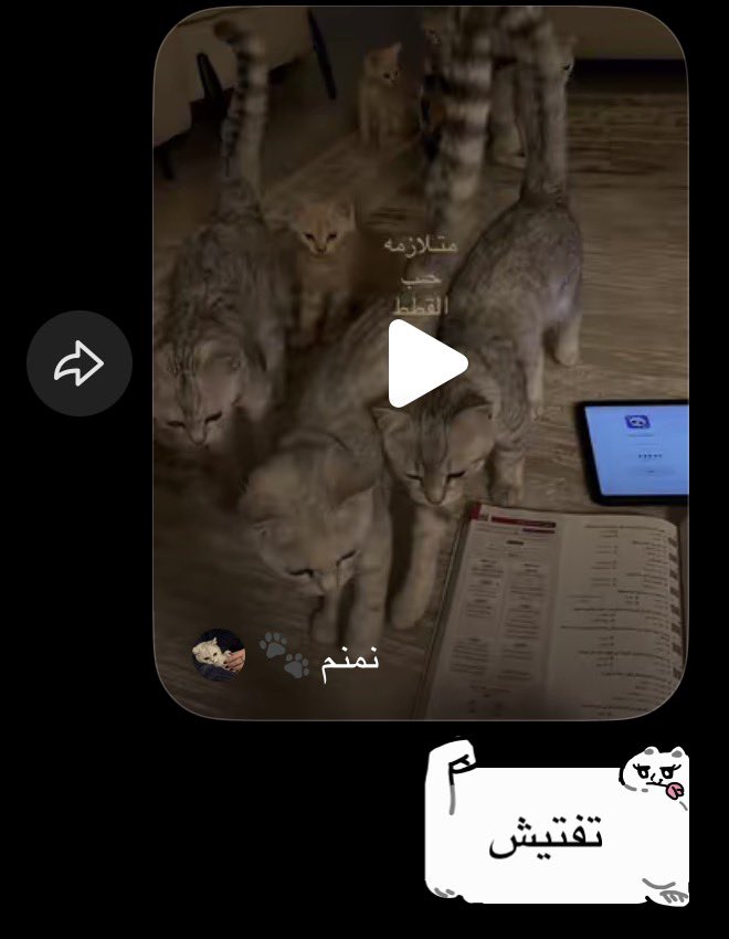 liwil9_'s tweet photo. لي اسبوع اقنع في صحبتي تجدد ريبوستاتها وبعدين يعني كيف ارقد؟ https://t.co/oeIKkgcMX3