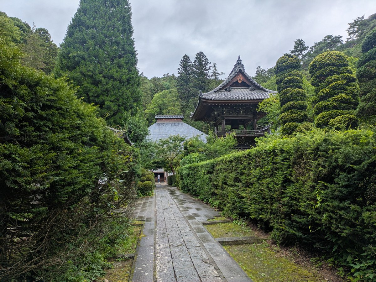 nm2023start's tweet photo. 安楽寺に到着〜
あれ？天気が…
とはいえそれはそれで山門に続く階段と両側の木々、適度に生えた苔がいい感じに見えますね
安楽寺は長野県最古の禅寺とのこと
八角三重塔の前にしっかりお参りです
#安楽寺 https://t.co/Z0ucUirtJj
