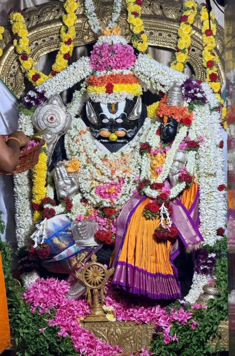 lalitha_jr's tweet photo. காலை வணக்கம் காவி'ஸ்🙏🙏🙏 https://t.co/LqjmbyCjnt