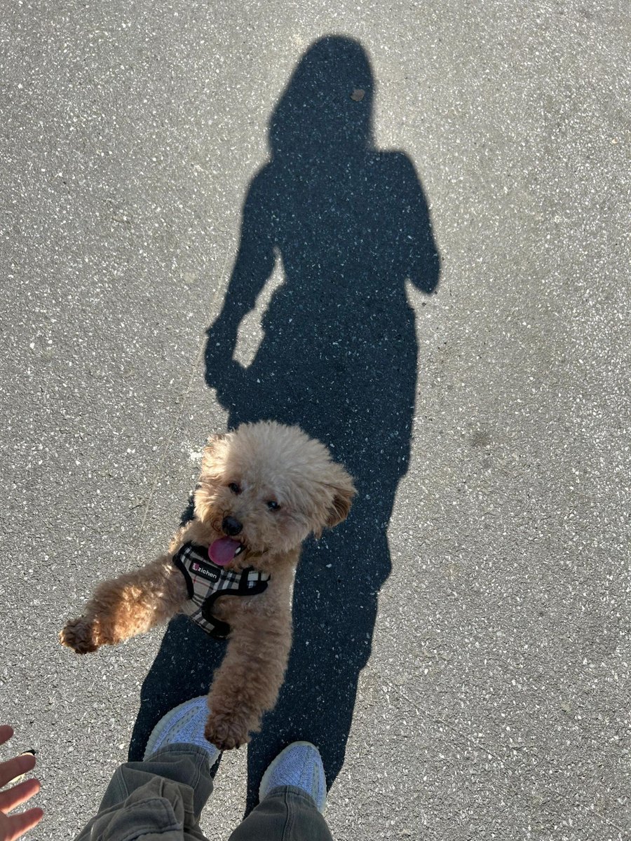 ChenTravelLife's tweet photo. @TiffanyFong I'm not happy on Dog Day; I miss my old friends. https://t.co/9cCeSf3o3H