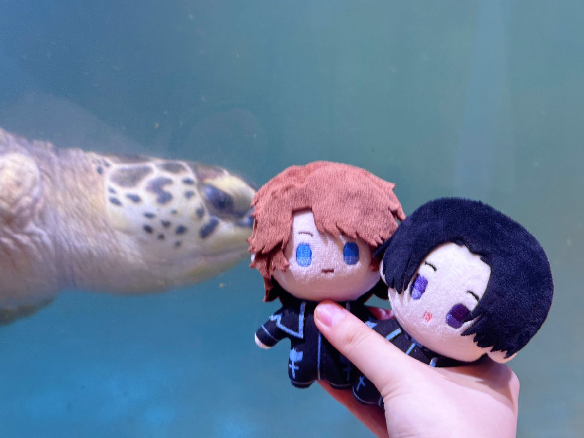 MuMu_2103's tweet photo. 水族館～ https://t.co/ueH0uJxDPS