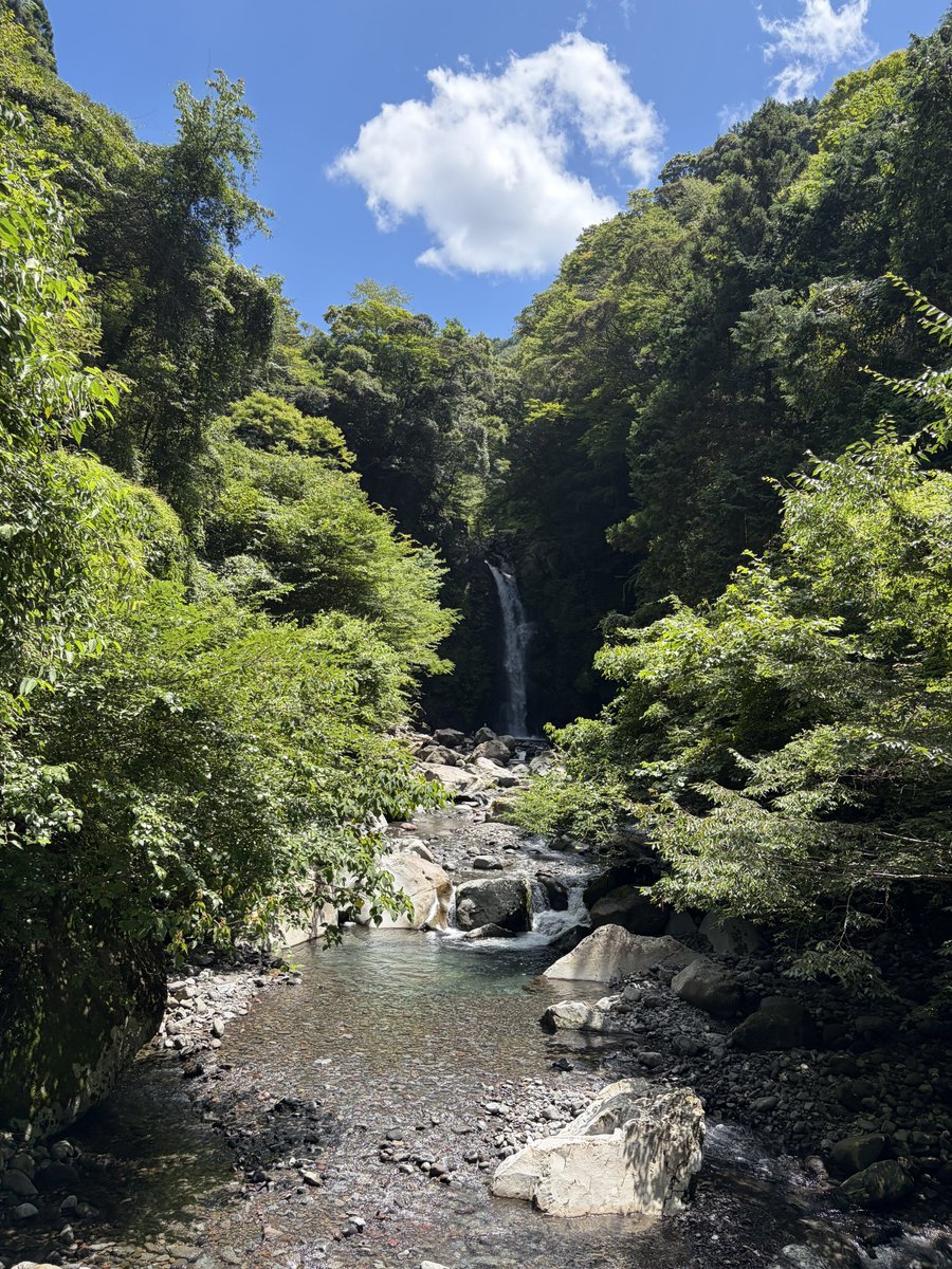 oscarrsantos_'s tweet photo. 友達は私抜きで遊びに行ってしまった😠😠

この場所、すごく涼しそうで気持ちよさそう。私も行きたいな。 https://t.co/0dLo88Q7Mi