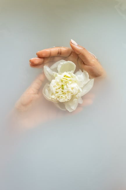 AlbertoFra4v's tweet photo. أتمنى الرخاء والنجاح مساعيك. أحب لك في تبسط كيف هذه المقالة الأفكار المعقدة. vanda kaspari🌯 https://t.co/G6U3zei1sm